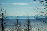 2024-12-30_0028