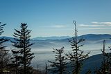 2024-12-30_0033